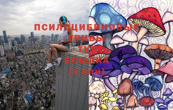 бутик Бородино