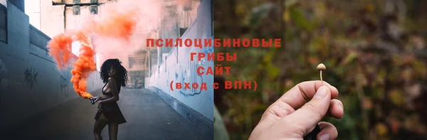 бутик Бородино