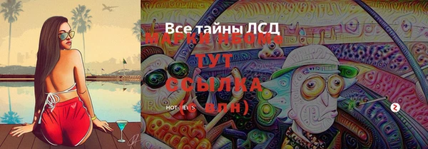 сатива Бугульма